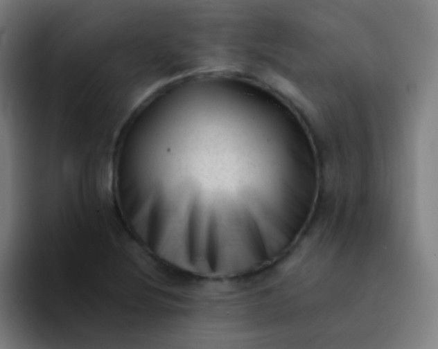 X0000094341220200711162003