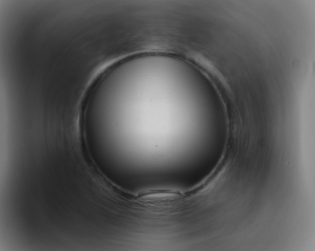 X0000094341222200711162003