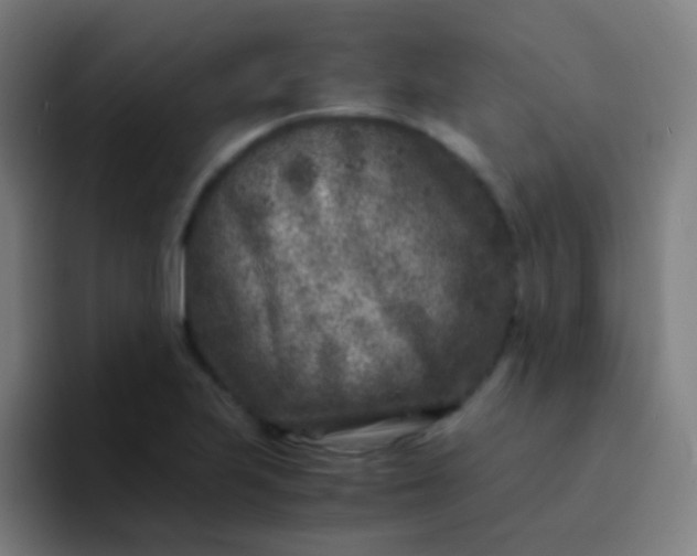 X0000094341223200711162003