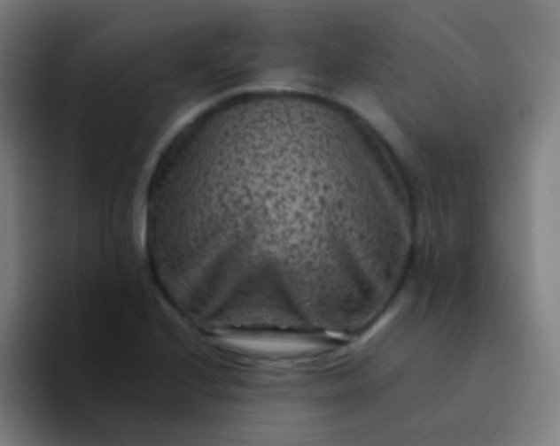 X0000094341224200711162003