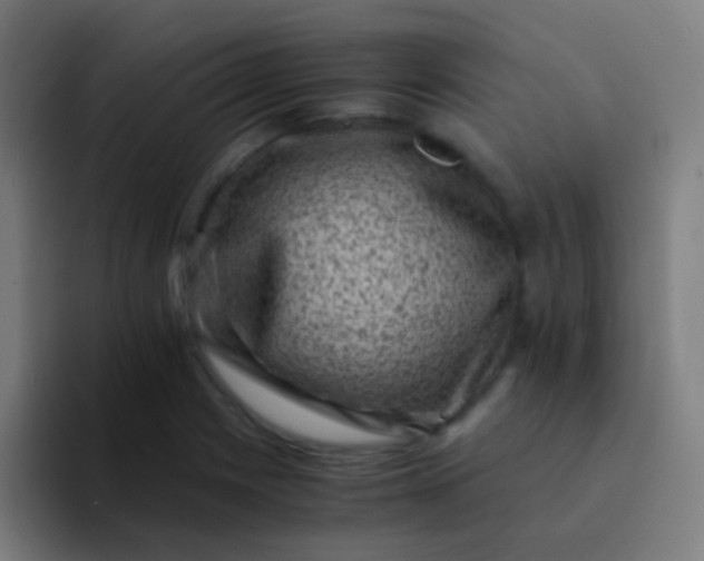 X0000094341225200711162003