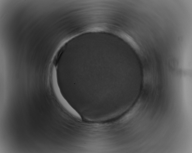 X0000094341226200711162003