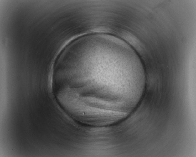 X0000094341228200711162003