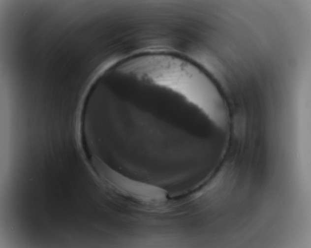 X0000094341229200711162003