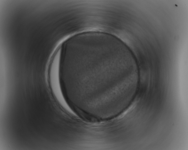 X0000094341230200711162003