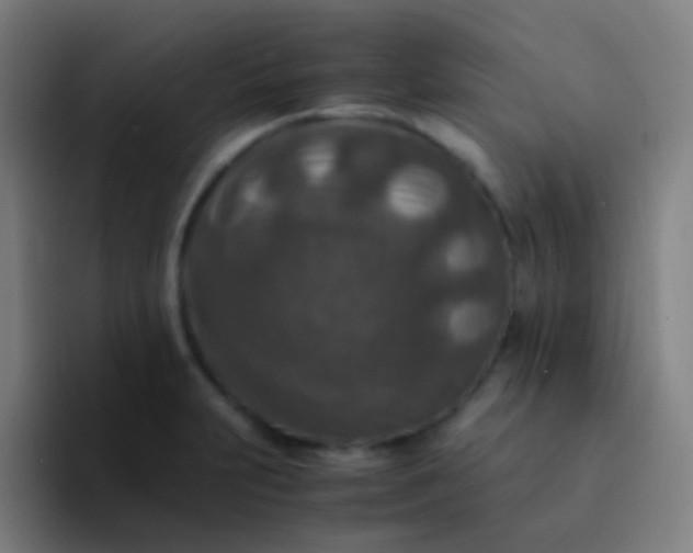 X0000094341231200711162003