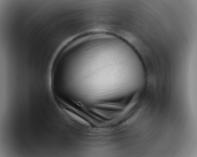 X0000094341232200711162003