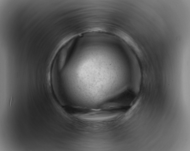 X0000094341234200711162003