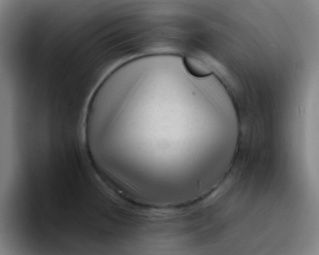 X0000094341236200711162003