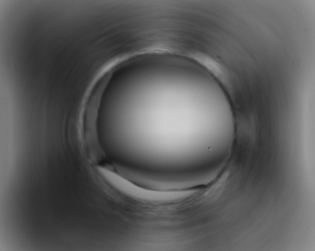 X0000094341238200711162003