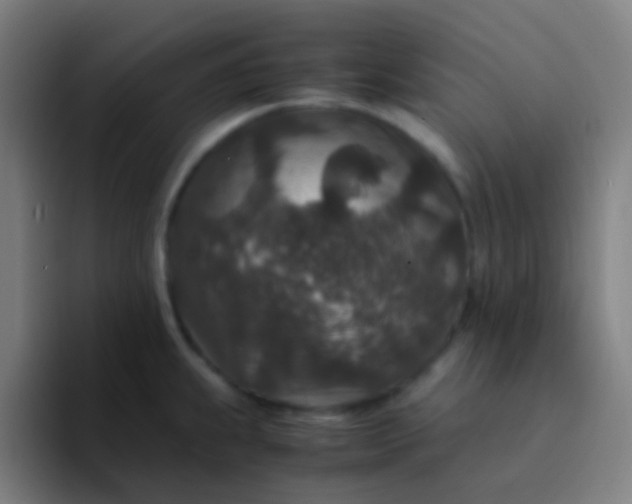 X0000094341239200711162003