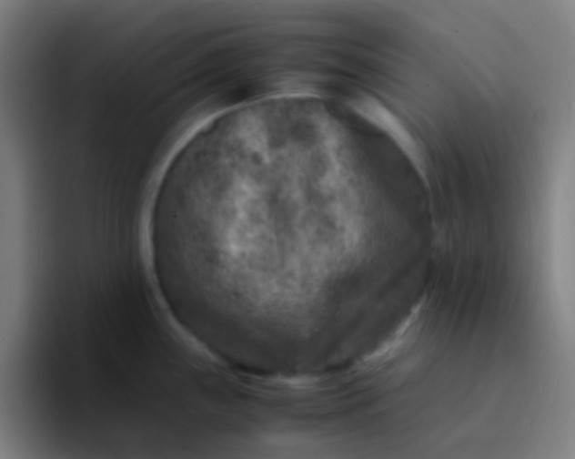 X0000094341243200711162003