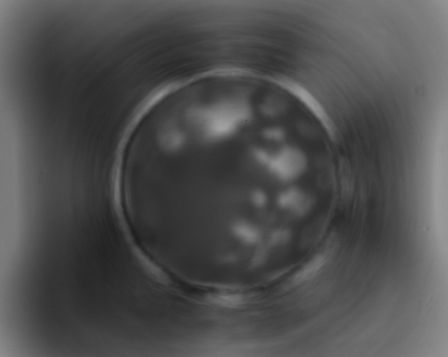 X0000094341245200711162003