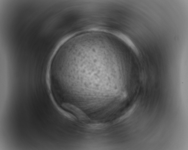 X0000094341247200711162003