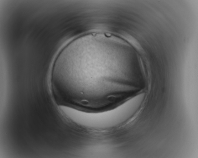 X0000094341248200711162003