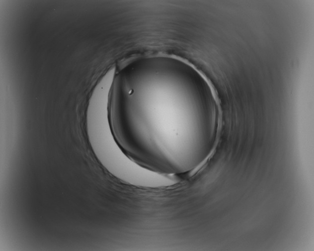 X0000094341249200711162003