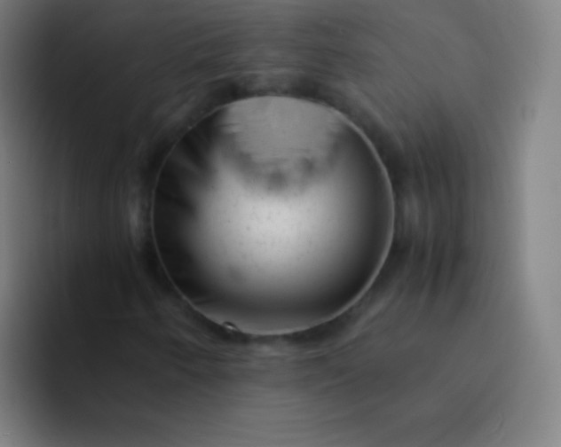 X0000094341250200711162003