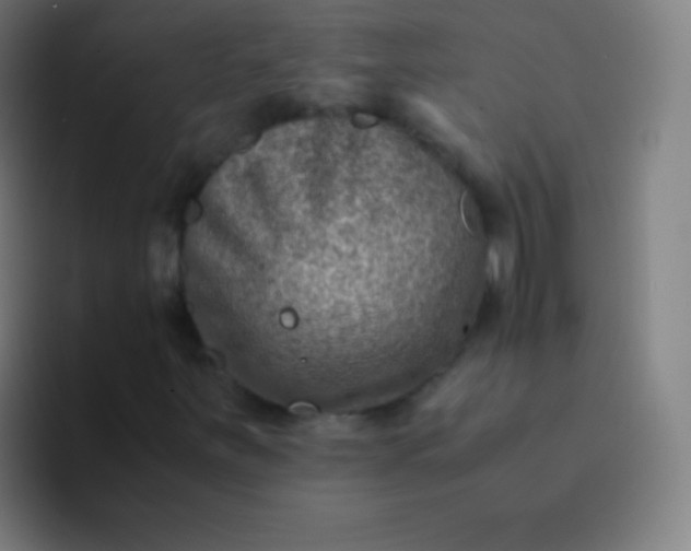 X0000094341251200711162003