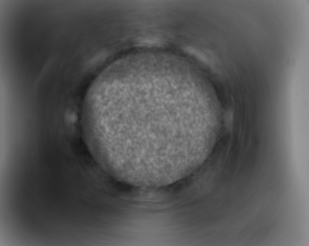 X0000094341254200711162003