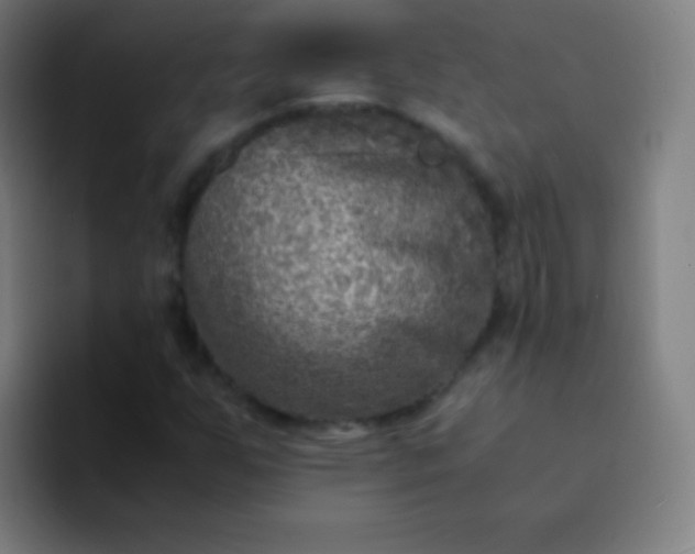 X0000094341255200711162003