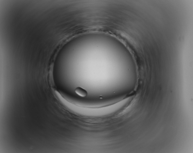 X0000094341257200711162003