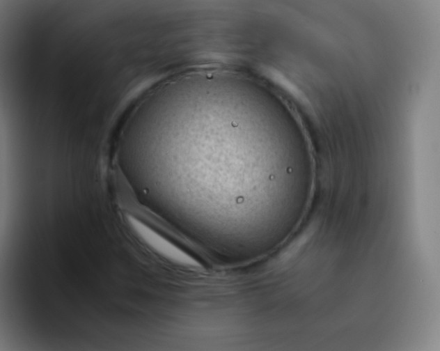 X0000094341259200711162003