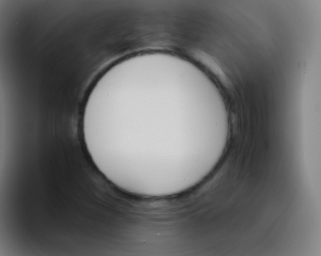 X0000094341260200711162003