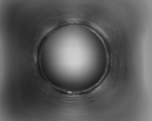 X0000094341261200711162003