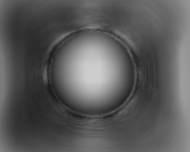 X0000094341262200711162003