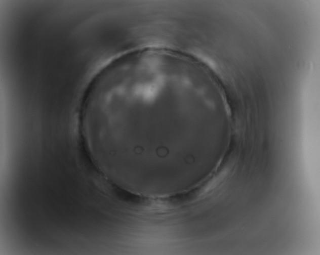 X0000094341263200711162003