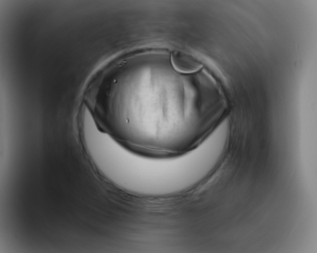 X0000094341264200711162003