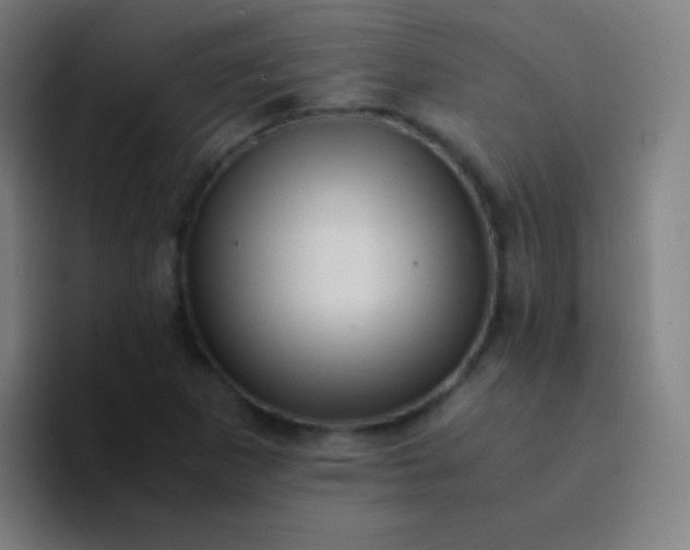 X0000094341265200711162003