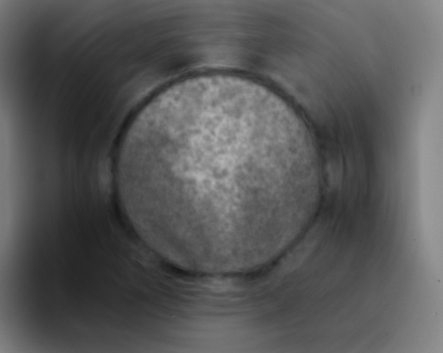 X0000094341266200711162003