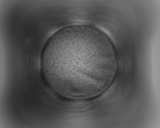 X0000094341267200711162003