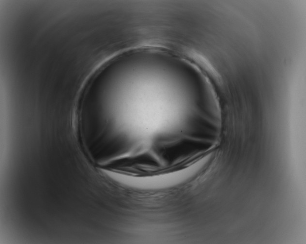 X0000094341268200711162002