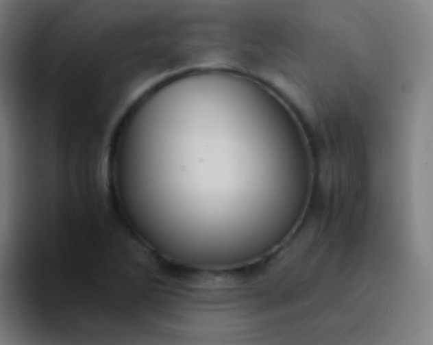 X0000094341270200711162002