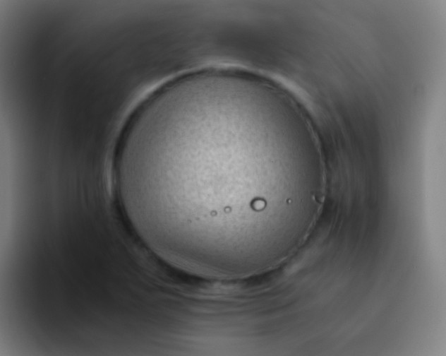 X0000094341271200711162002