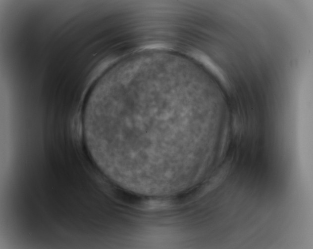 X0000094341274200711162002