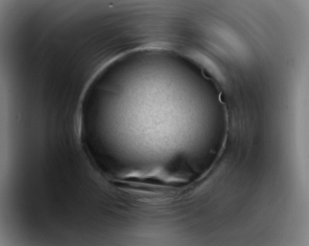 X0000094341276200711162002