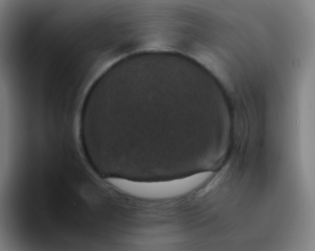 X0000094341277200711162002