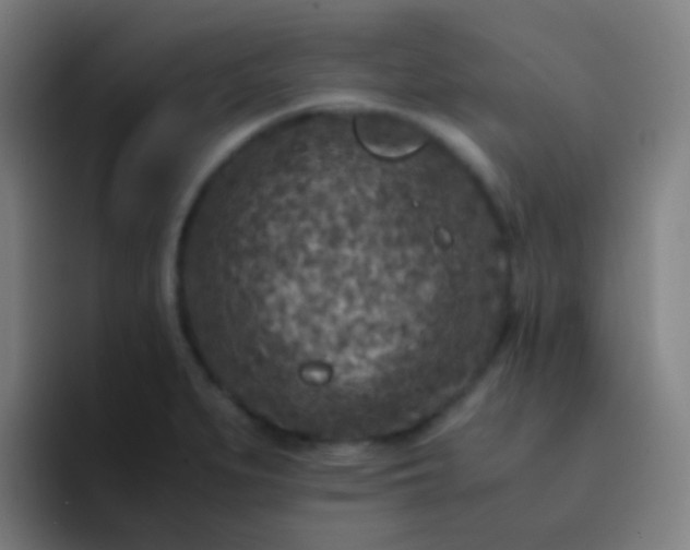 X0000094341279200711162002