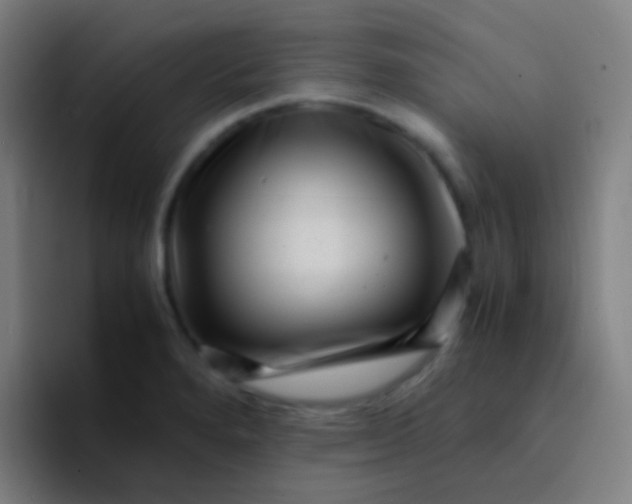 X0000094341280200711162002