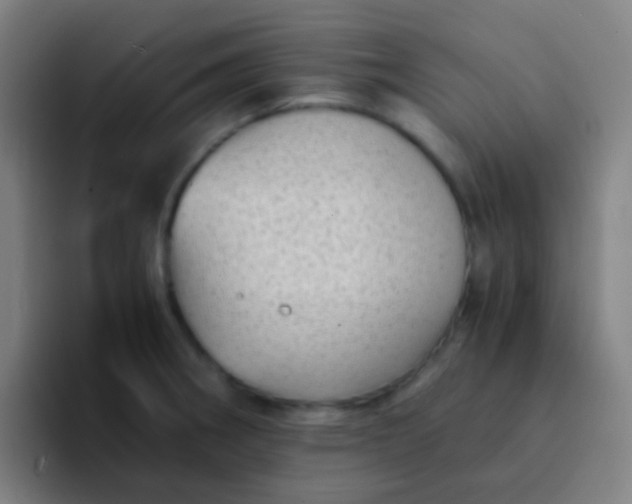 X0000094341282200711162002