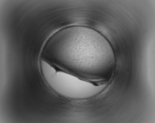 X0000094341284200711162002