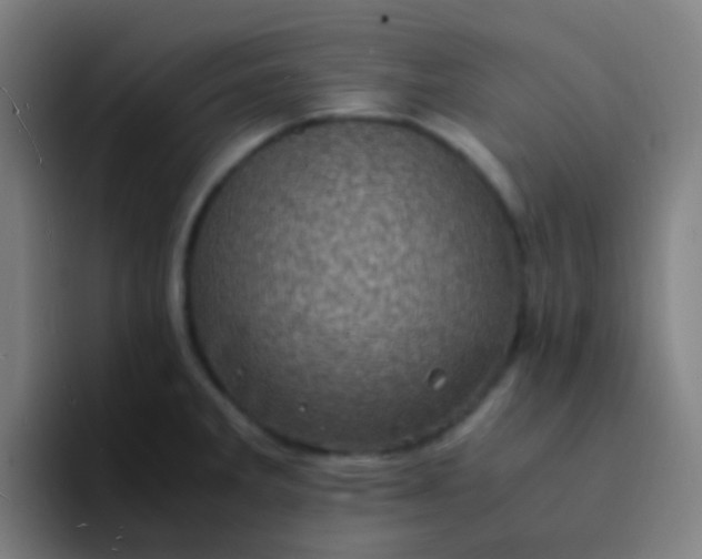 X0000094341285200711162002