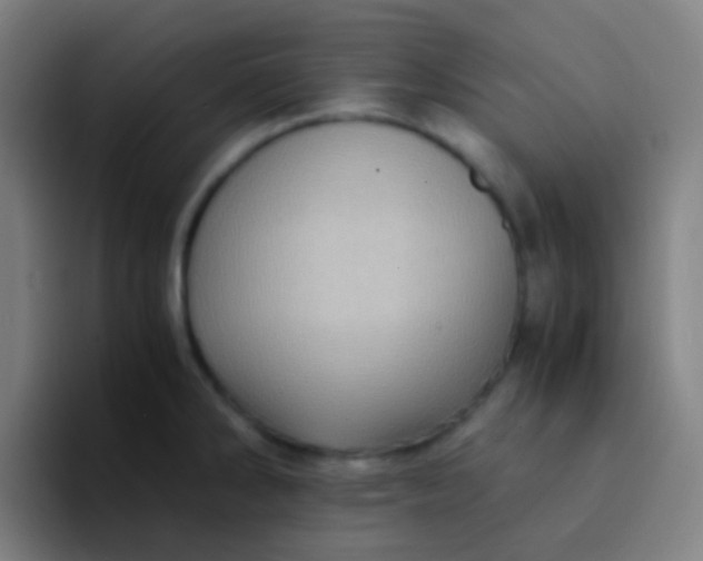 X0000094341286200711162002