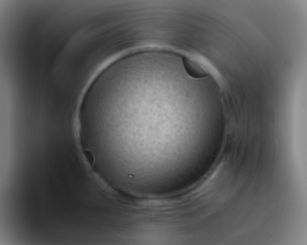 X0000094341287200711162002