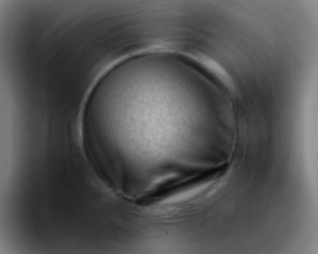 X0000094341288200711162002