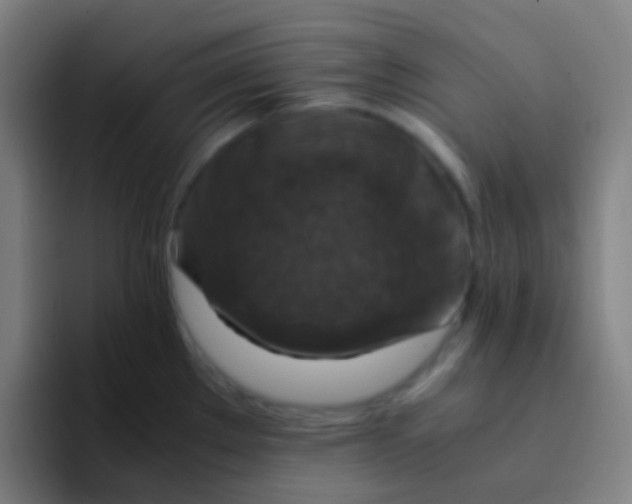 X0000094341289200711162002