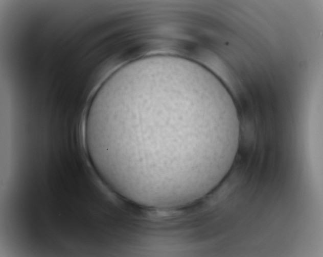 X0000094341290200711162002